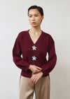 Aelin Maroon Top